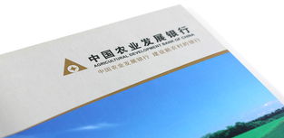 淄博畫冊設計與品牌形象塑造 輝盛企業形象設計公司的專業服務