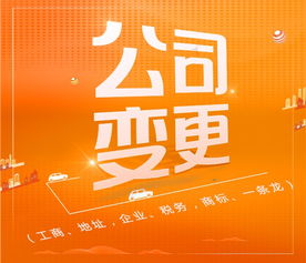 一站式企業(yè)服務(wù)指南 羅湖公司注冊(cè)、代理記賬與深圳工商事務(wù)全解析
